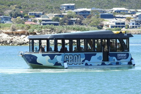 Experience Coffin Bay Short And Sweet Oyster Farm Tour - Maitland Accommodation 9