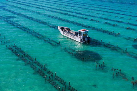 Experience Coffin Bay Short And Sweet Oyster Farm Tour - Maitland Accommodation 7