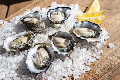 Experience Coffin Bay Short And Sweet Oyster Farm Tour - Maitland Accommodation 3