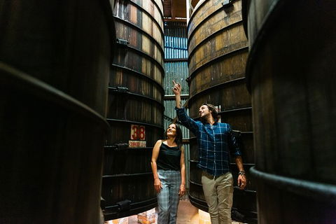 A Day Of Decadence At D'Arenberg - Maitland Accommodation 1