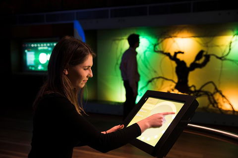 Australian Wine Discovery Tour Ticket - Maitland Accommodation 3