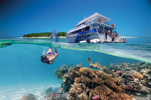 3-Day Southern Great Barrier Reef Tour Including Lady Musgrave Island - Maitland Accommodation 0
