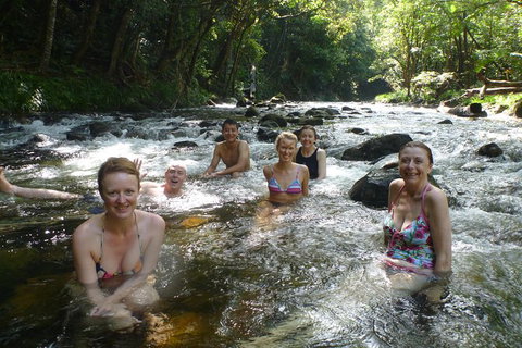 Daintree Rainforest, Cape Tribulation, Mossman Gorge In A Day - Maitland Accommodation 10