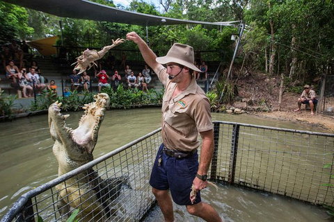 Full-Day Tour With Kuranda Scenic Railway, Skyrail Rainforest Cableway, And Hartley's Crocodile Adventures From Cairns - Maitland Accommodation 1