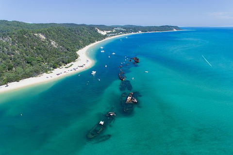 Cape Moreton Scenic 4WD Day Tour From Brisbane Or The Gold Coast - Maitland Accommodation 8