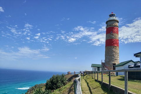 Cape Moreton Scenic 4WD Day Tour From Brisbane Or The Gold Coast - Maitland Accommodation 6