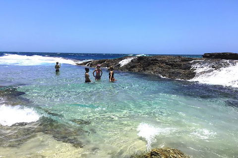 Cape Moreton Scenic 4WD Day Tour From Brisbane Or The Gold Coast - Maitland Accommodation 3