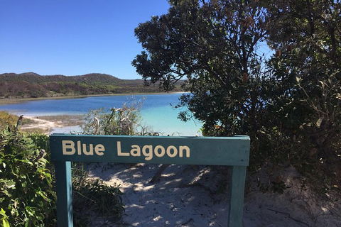 Cape Moreton Scenic 4WD Day Tour From Brisbane Or The Gold Coast - Maitland Accommodation 4