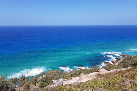 Cape Moreton Scenic 4WD Day Tour From Brisbane Or The Gold Coast - Maitland Accommodation 7