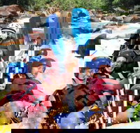 Tully River Full-Day White Water Rafting from Cairns including Lunch - Maitland Accommodation