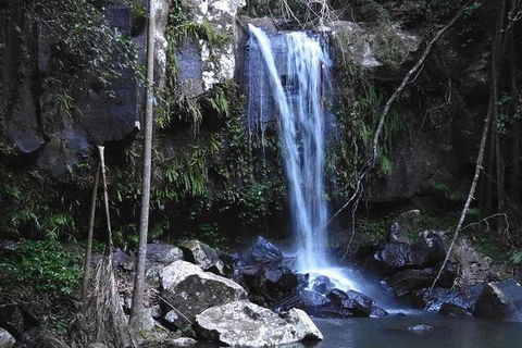 You Choose The Tour: Brisbane Private Chauffeur Driven Personal Tour - Maitland Accommodation 0