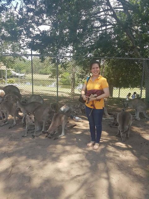 Lone Pine Koala Sanctuary Admission With Brisbane River Cruise - Maitland Accommodation 17