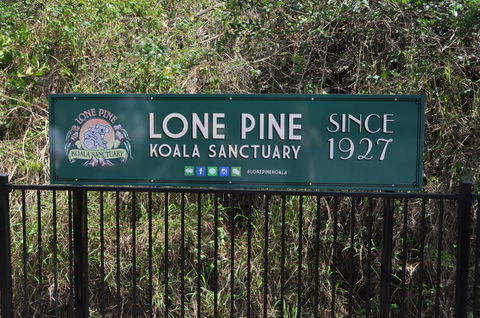 Lone Pine Koala Sanctuary Admission With Brisbane River Cruise - Maitland Accommodation 7