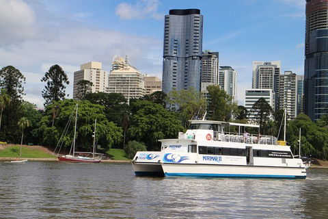 Lone Pine Koala Sanctuary Admission With Brisbane River Cruise - Maitland Accommodation 32