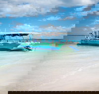 Great Sandy Marine Park Turtle Discovery and Cultural Eco Tour - Maitland Accommodation