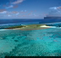 5-Day Fraser Island and Great Barrier Reef Tour - Maitland Accommodation