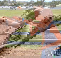 Camel Farm Deluxe Experience - Maitland Accommodation