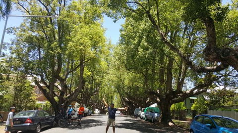 Brisbane Bike Tour - Maitland Accommodation 2