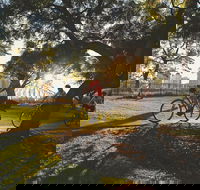 Brisbane Bike Tour - Maitland Accommodation