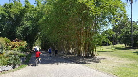 Brisbane Bike Tour - Maitland Accommodation 4