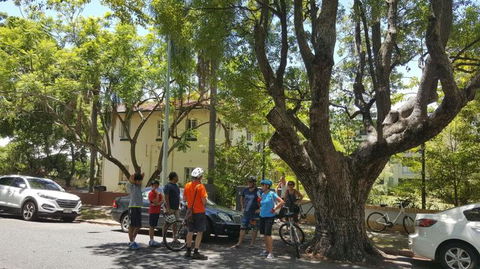 Brisbane Bike Tour - Maitland Accommodation 3