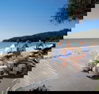 Noosa and Sunshine Coast Hinterland Day Trip from Brisbane - Maitland Accommodation