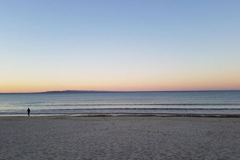 Noosa And Sunshine Coast Hinterland Day Trip From Brisbane - Maitland Accommodation 5