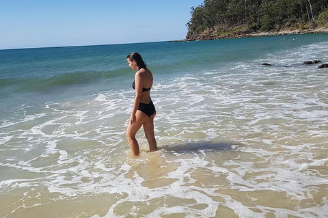 Noosa And Sunshine Coast Hinterland Day Trip From Brisbane - Maitland Accommodation 7