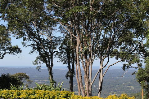 Noosa And Sunshine Coast Hinterland Day Trip From Brisbane - Maitland Accommodation 10