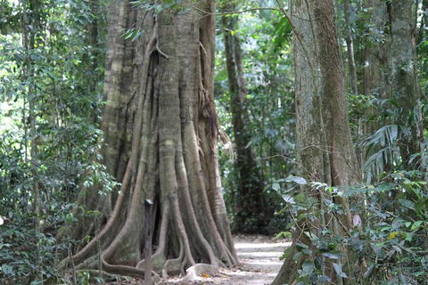 Noosa And Sunshine Coast Hinterland Day Trip From Brisbane - Maitland Accommodation 8