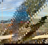 Goolimbil Walkabout Indigenous Experience in the Town of 1770 - Maitland Accommodation