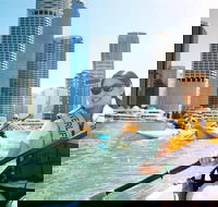 Brisbane Kayak Tour - Maitland Accommodation