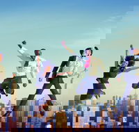 Luxury Movie World Transfers To and From Brisbane CBD Hotel for up to 4 ppl - Maitland Accommodation