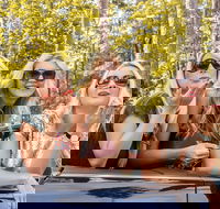 Luxury Brisbane Airport Transfers To and From Surfers Paradise for up to 11 Per - Maitland Accommodation