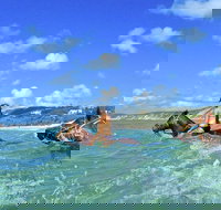 Horse Swimming Ride from Rainbow Beach - Maitland Accommodation