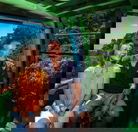 Skyrail Rainforest Cableway Day Trip from Palm Cove - Maitland Accommodation