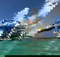 Eco Marine Safari - Boom netting  Snorkeling Moreton Island - Fortitude Valley - Maitland Accommodation