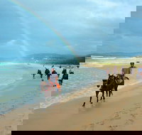 Rainbow Beach Horse Ride - Maitland Accommodation