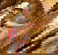 Rock Climbing at the Kangaroo Point Cliffs in Brisbane - Maitland Accommodation