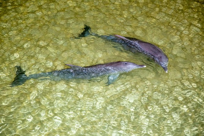 Brisbane QLD Maitland Accommodation