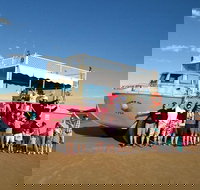 Town of 1770 Afternoon Cruise - Maitland Accommodation