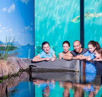 Reef HQ Great Barrier Reef Aquarium General Entry Ticket - Maitland Accommodation