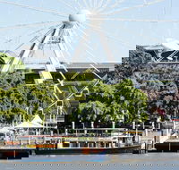 Cruise To Lunch Package - Maitland Accommodation