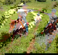 Country Day Ride from Mt Goomboorian with Rainbow Beach Horse Rides - Maitland Accommodation