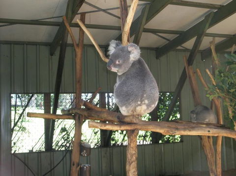 Brisbane Afternoon Tour To XXXX Brewery And Mt Coot-tha - Maitland Accommodation 3