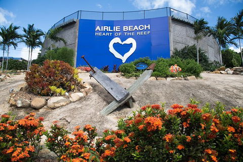 Airport Transfers - Return (round Fare) Share Shuttle Service - Maitland Accommodation 1