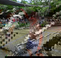 Hartley's Crocodile Adventures Day Trip from Cairns - Maitland Accommodation