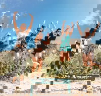 2-Day Fraser Island 4WD Adventure Tour Departing Rainbow Beach - Maitland Accommodation