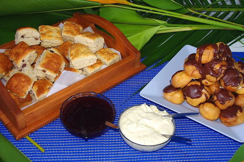 Three-Quarter Day Hervey Bay Premium Whale Watching Cruise - Maitland Accommodation 14