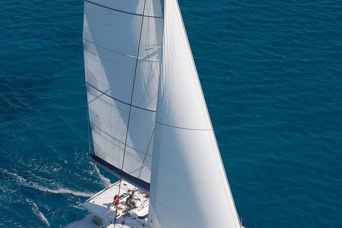 Afternoon Low Isles Snorkeling And Sailing Cruise From Port Douglas - Maitland Accommodation 1